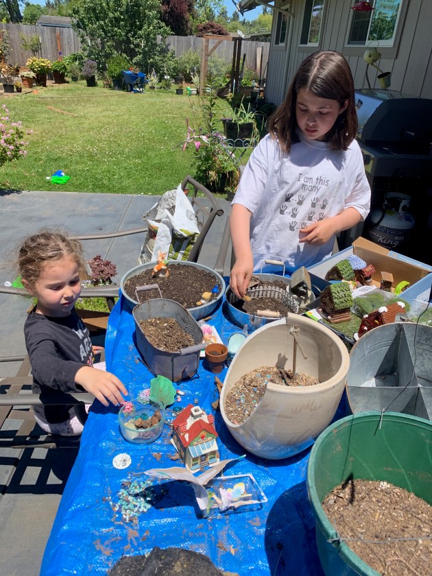 Ally and Pyper Fairy Gardens